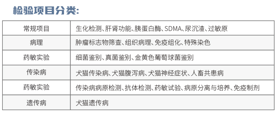 检验项目分类.jpg